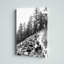 « Rocky Tree Line »-blanc/imprimé sur toile-37365384
