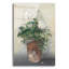 «Pot Of White Geraniums» par Carol Rowan-729998243