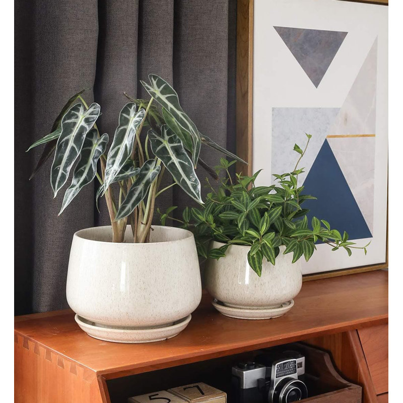 Ceramic Pot Planter