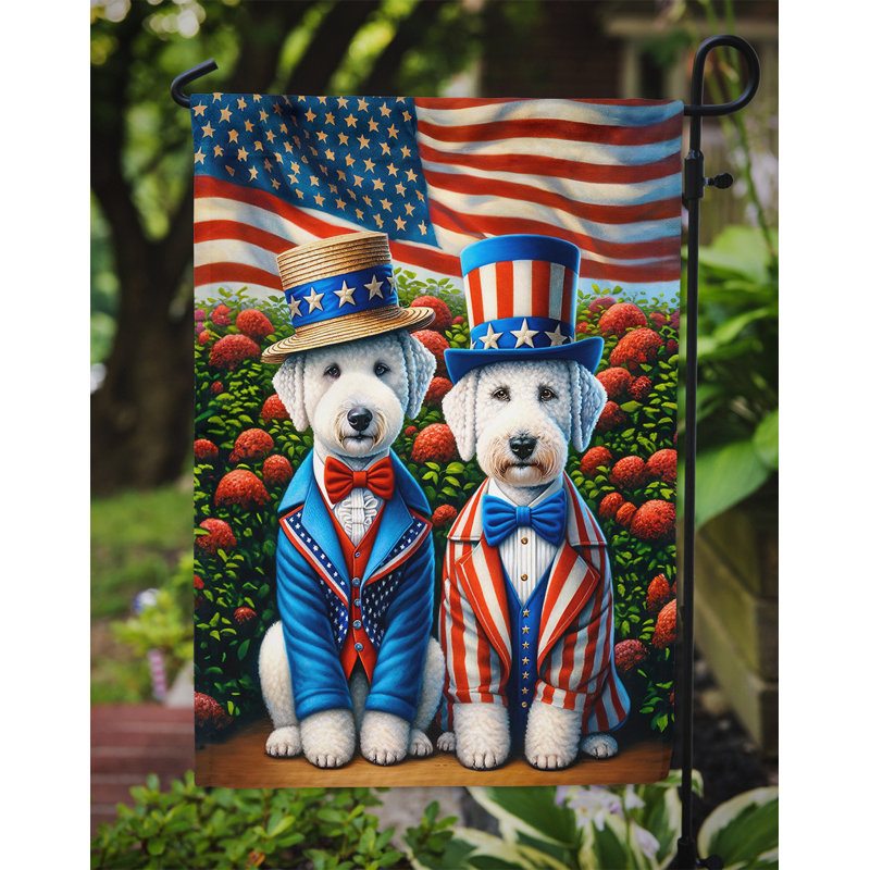 Drapeau All American Garden, Bedlington Terrier