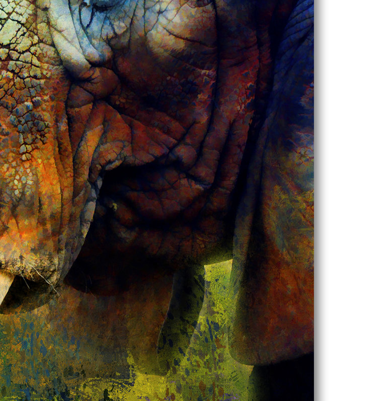Colorful Expressions Elephant Canvas Art in Vibrant Hues