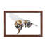 Bee 1 Piece Wall Art on Canvas-36689606-62241264