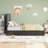 Bed Frame With Adjustable Headboard And 2 Storage Drawers-110712993-110712990