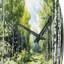 Horloge murale Birch Woods Whispering Winds-93398167