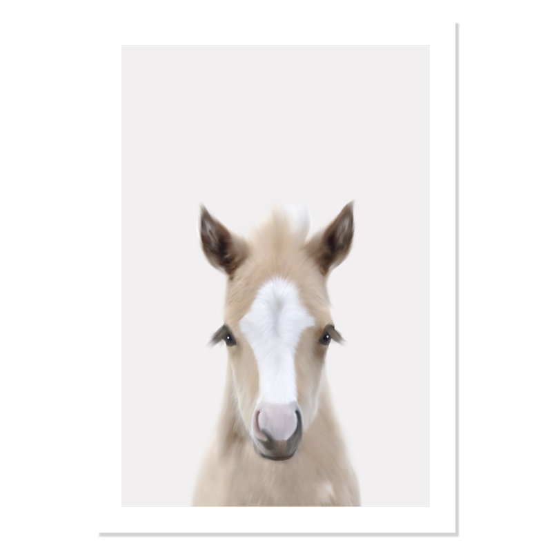 Baby Horse 1, impression sur papier, H 40 po x l 28 po x P 1 po, Papier