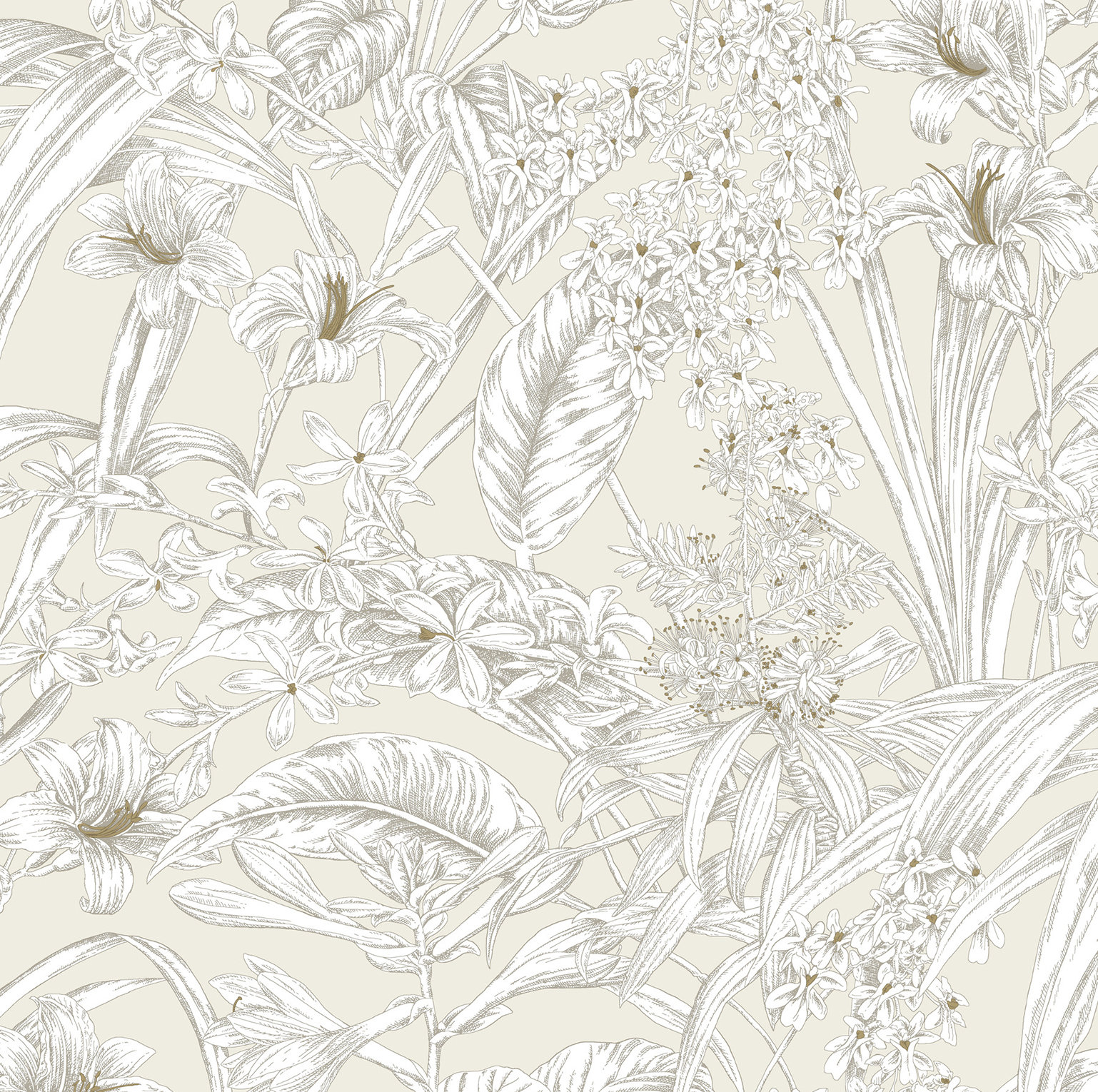 Conservatory Toile Floral,Solids Wallpaper, Beige & Taupe