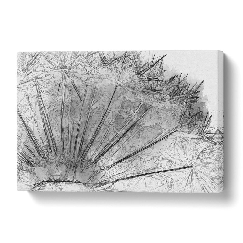 Dandelion Seed Sketch in Abstract - Wrapped Canvas, 35.6 cm H x 50.8 cm W