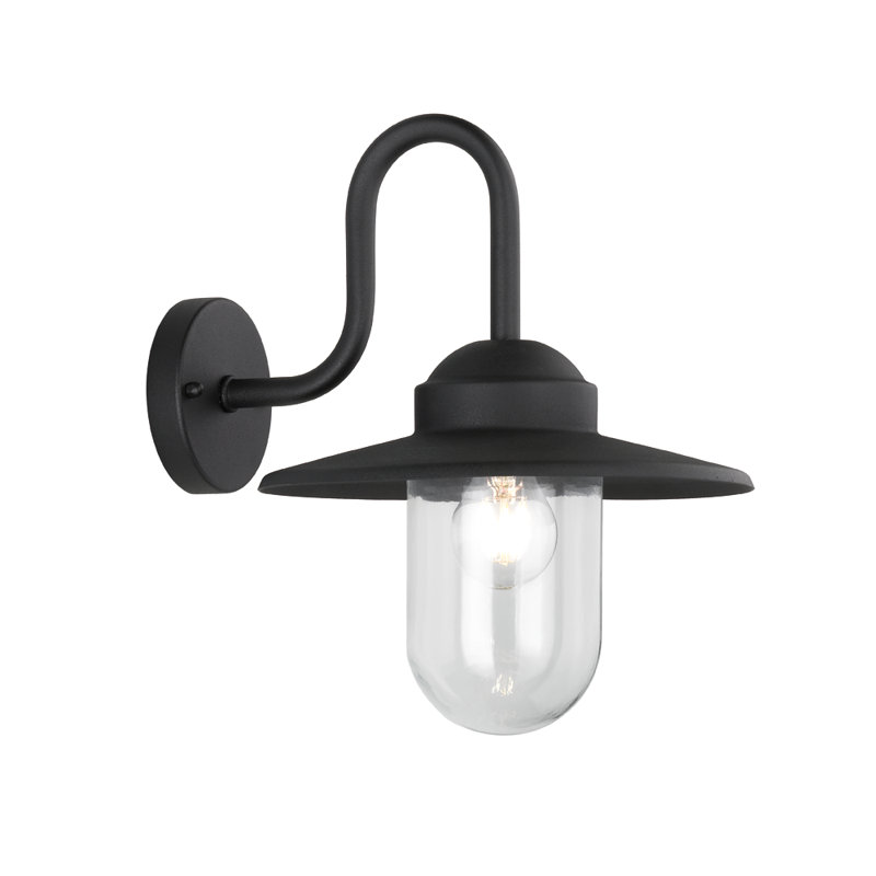 Hailie 34.5cm H Wall Light