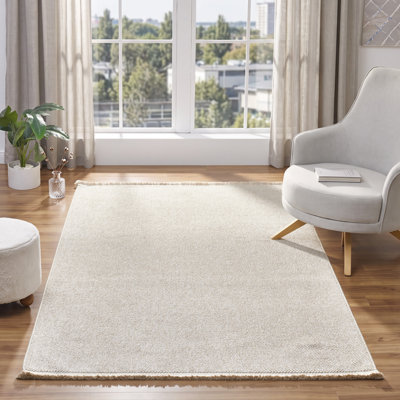 Textured Fringed Area Rug