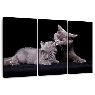 «Brampt Cat Mother's Love»