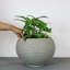 Pot à fleurs rond Josobyn ECOBO EcoFriendly, utilisation intérieure Heliconia, utilisation quatre saisons-1857669087-1860233620