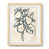 Naturel n'est pas disponible