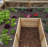 8 ft. W x 8 ft. D Cedar Garden in a Box