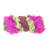 Adelina Orchid and Succulent Arrangement-1713855388