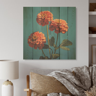 Fleurs de zinnias orange et bleues - Zinnias, art mural sur bois de pin naturel
