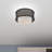 Nedra Flush Mount