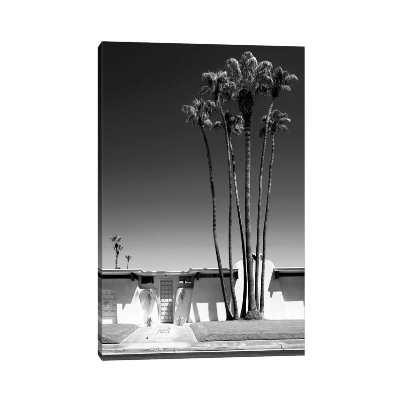 Black California Series - Palm Springs by Philippe Hugonnard - Wrapped Canvas Print, 40" H x 26" W x 1.5" D
