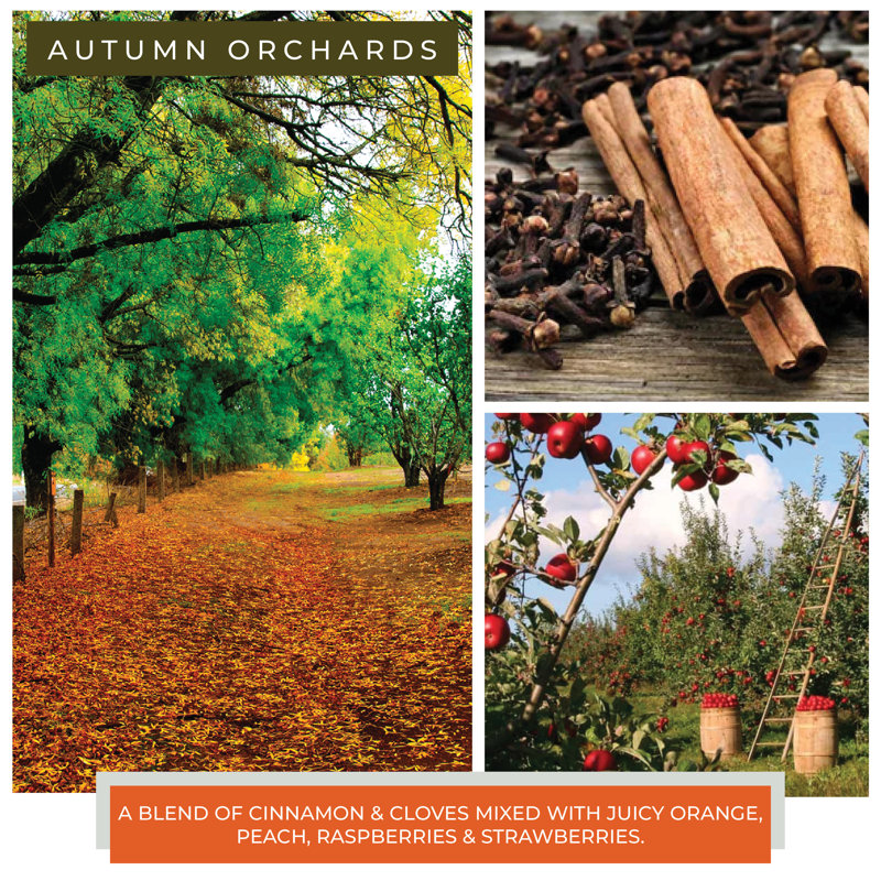 Bougie pour pot de parfum Autumn