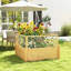 Cameisha Wood Planter Box