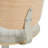 Corriveau Adjustable Swivel Bar & Counter Stool With Quilted Upholstery And Curved Backrest