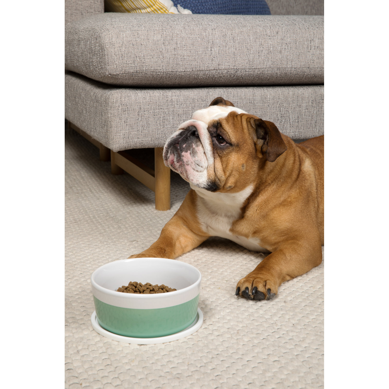 Circle Habit Pet Feeding Mat, Small (6"), White
