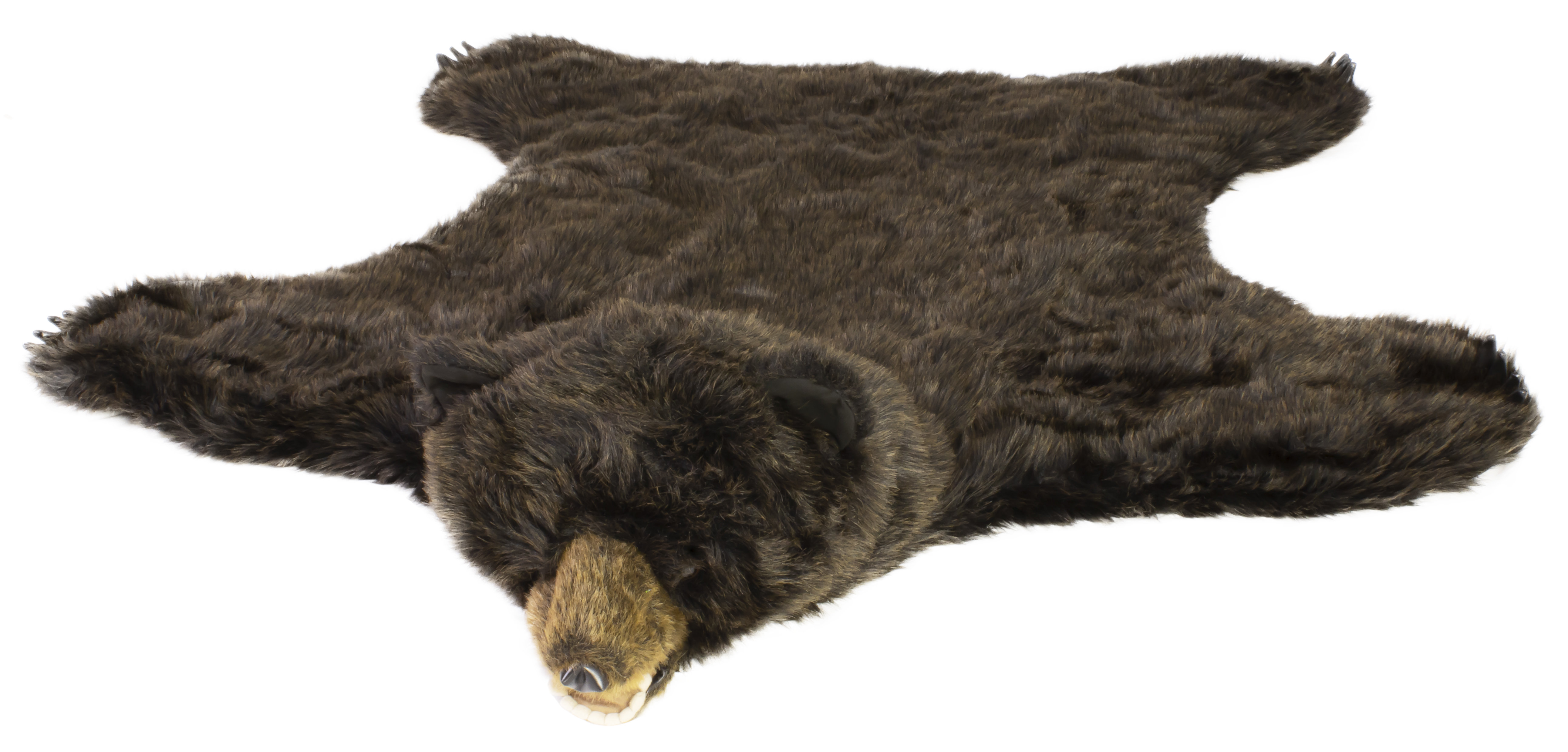 Millwood Pines Melina Bear Black Area Rug & Reviews | Wayfair