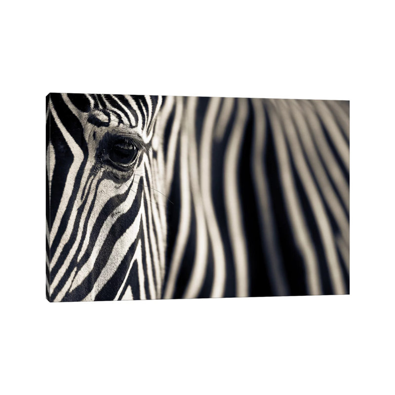 Eye And Stripes by Mario Moreno - Wrapped Canvas Print, 66.04 cm H x 45.72 cm W x 1.91 cm D