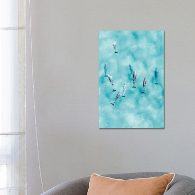 Cruisy Dolphins III by Jaxon Roberts - Wrapped Canvas Print