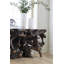 Cast Naturals 59" Console Table