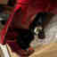 Customer photo 3 of 4