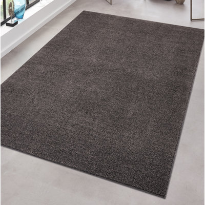 Pure Anthracite Rug