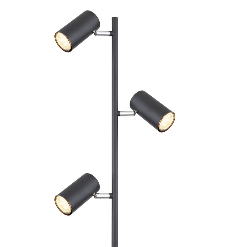 Raahil 154cm Traditional Floor Lamp, Black