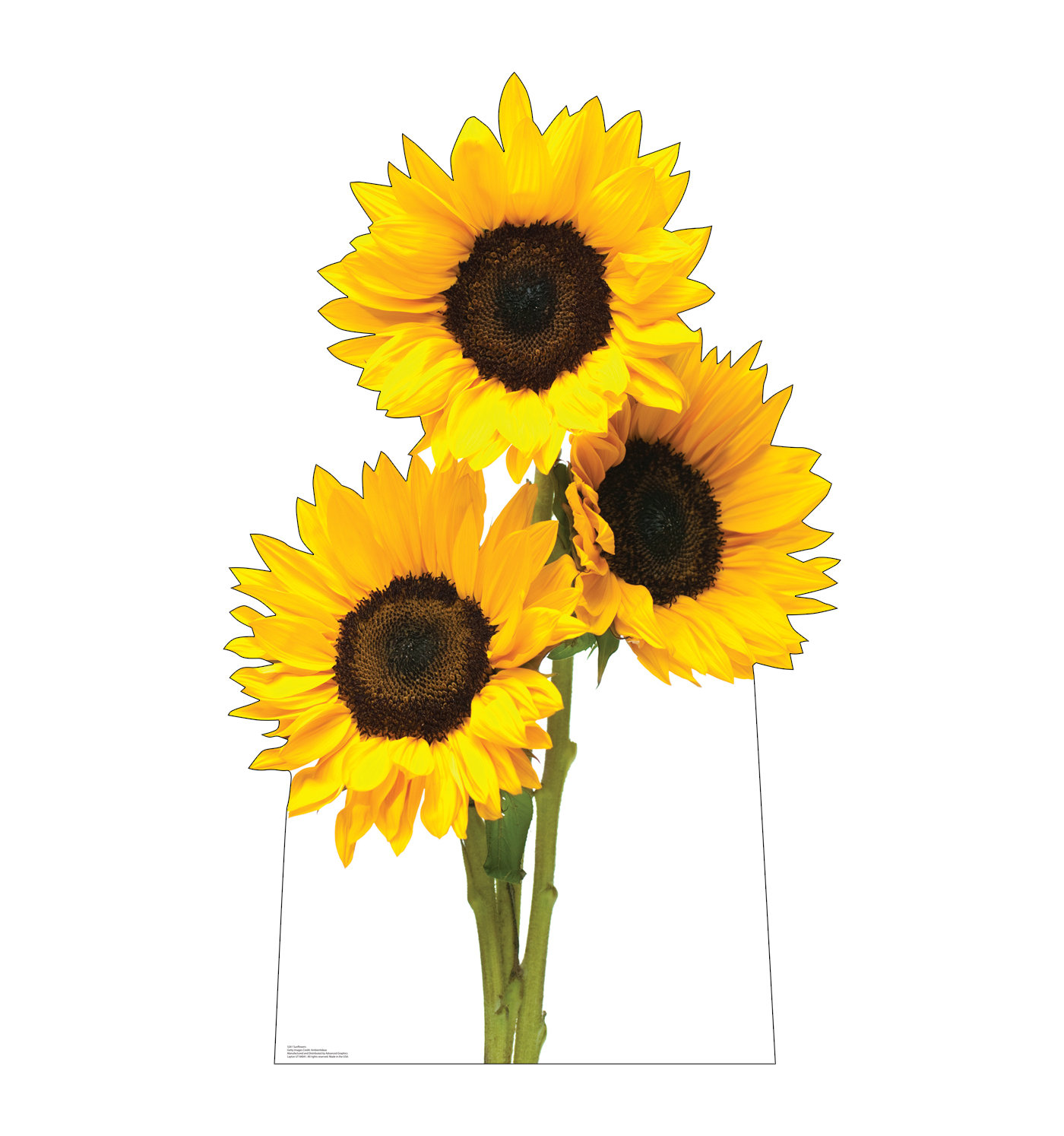 Sunboard Cutout Standees, Size: 24 X 60 Inches at Rs 1600 in New