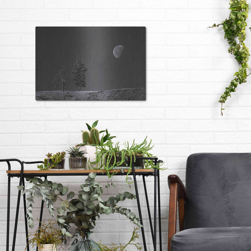 «Moon Trees Hill» par Thomas Haney, H 12 po x l 16 po
