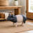 Spotted Pig Garden Statue
