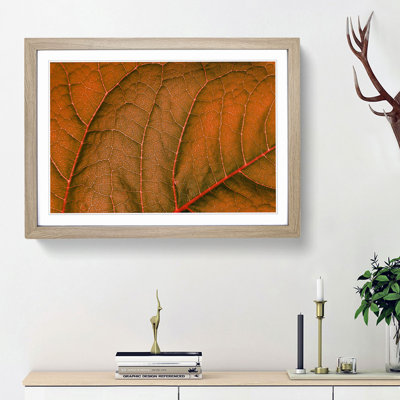 Leaf Veins - Picture Frame Photograph Print