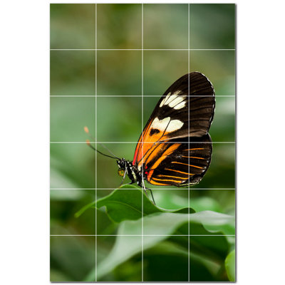 Butterfly Photo 4.25'' x 4.25'' Satin Ceramic Decorative Mural