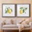 Lemon Fresh I - ensemble de 2 cadres photo-1747626560-1747626563