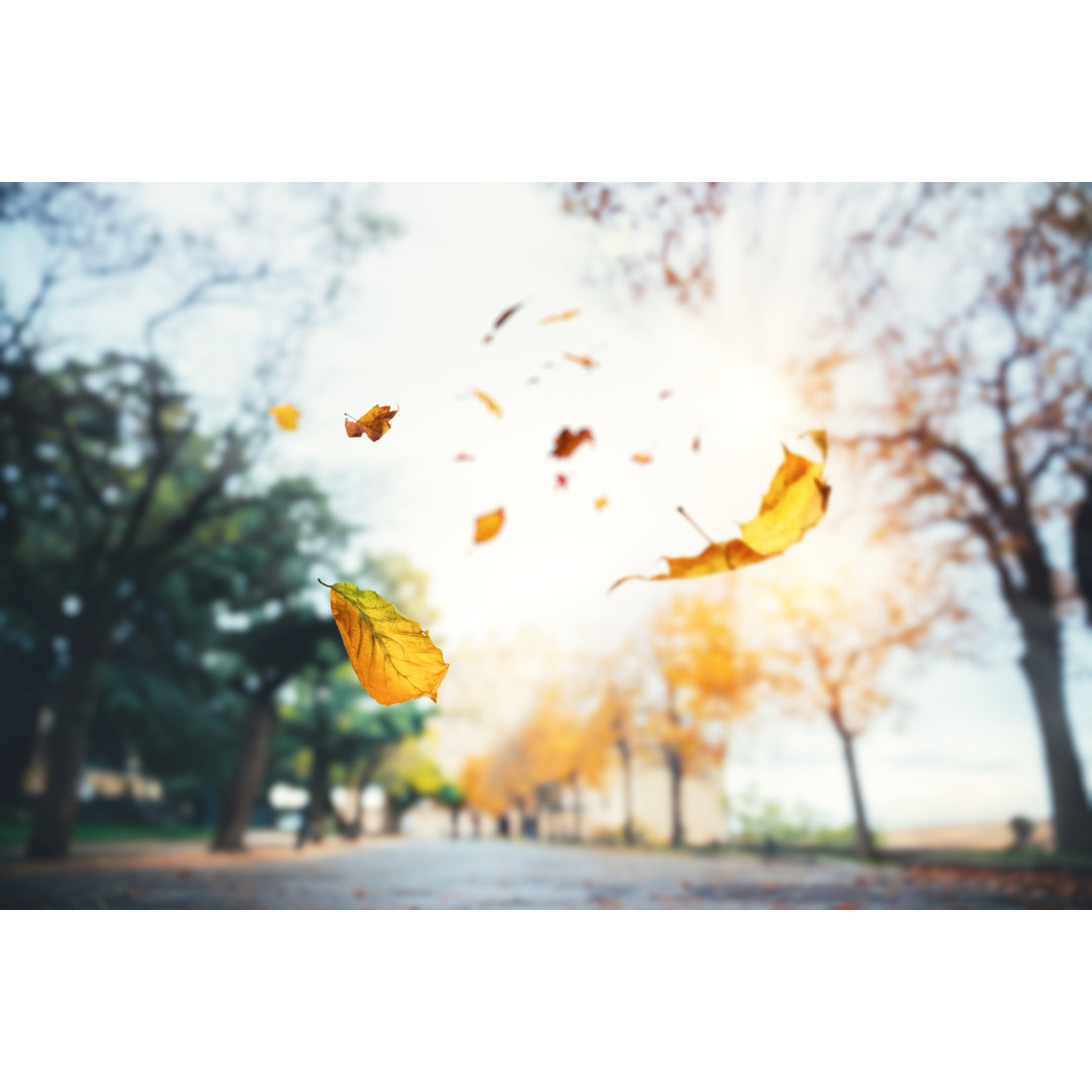 Herbst im Park von Borchee - Druck