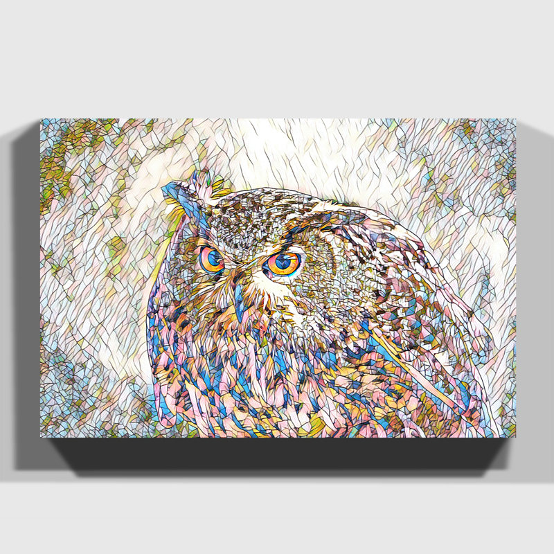 Owl Bird 4 - Wrapped Canvas, 50cm H x 76cm W