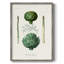 Reproduction encadrée de fruits et légumes II - bois massif-1251486627