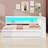 Multifunctional Daybed with Shelves, and Two Drawers-1619738925