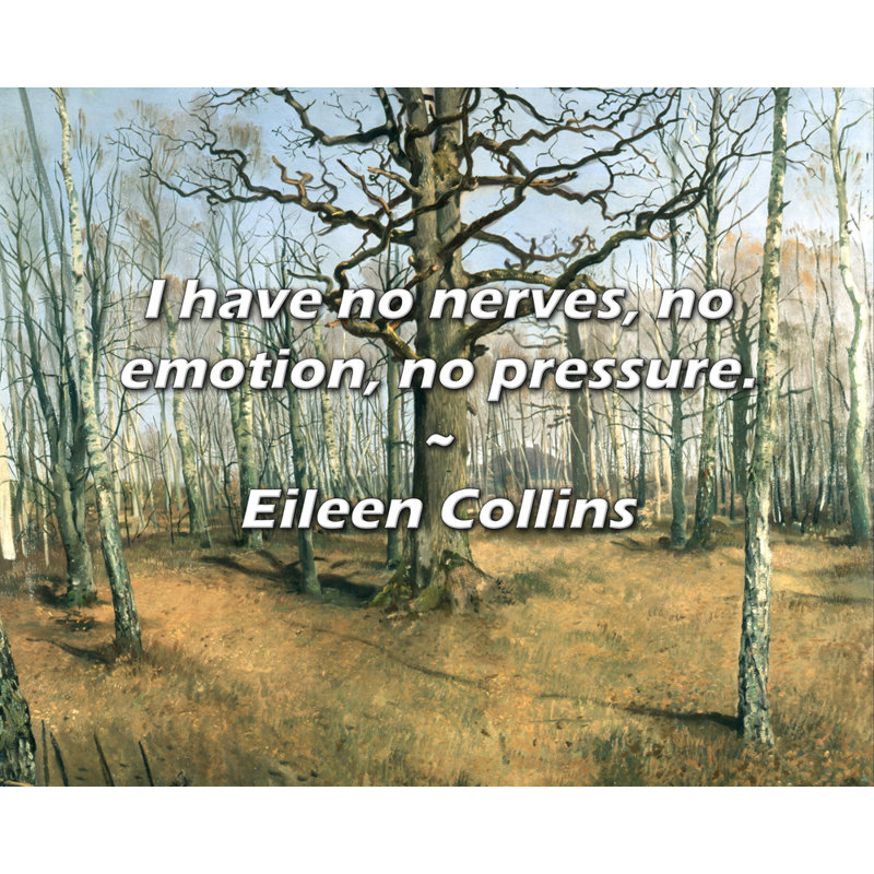 Citation de Eileen Collins: «Je n’ai pas de nerfs, pas d’émotion, pas de pression., H 15 po x l 18 po