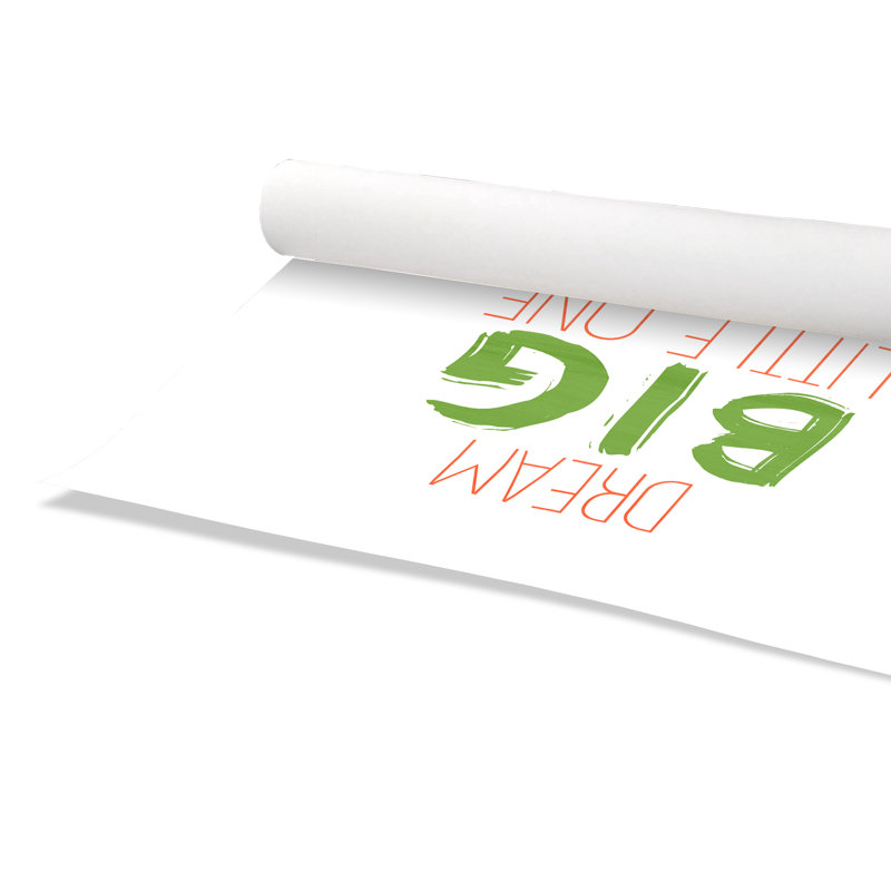 Dino Brave 2, impression sur papier, H 10 po x l 10 po x P 1 po