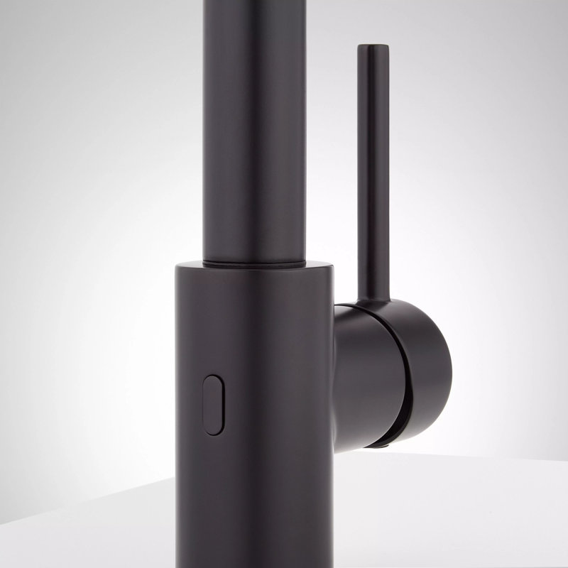 Ridgeway Single Hole Pull Down Touchless Kitchen Faucet with Deck Plate, Matte Black