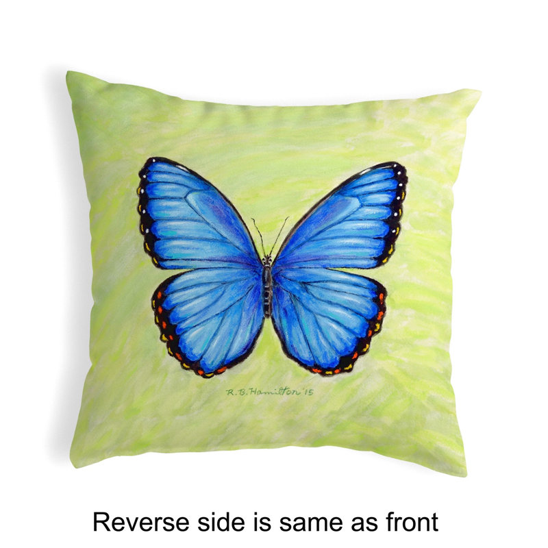  Dick's Morpho Outdoor Square Pillow Cover & Insert