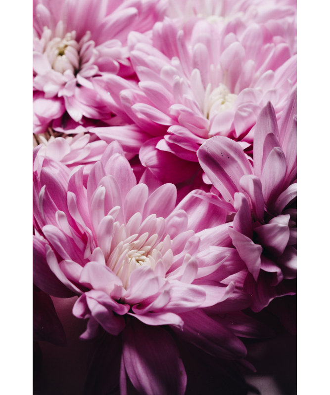Wrapped Canvas Print, 50.8 cm H x 76.2 cm W