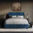 Dyisha Upholstered Unfinished Wingback Storage Bed-345146739-345146700