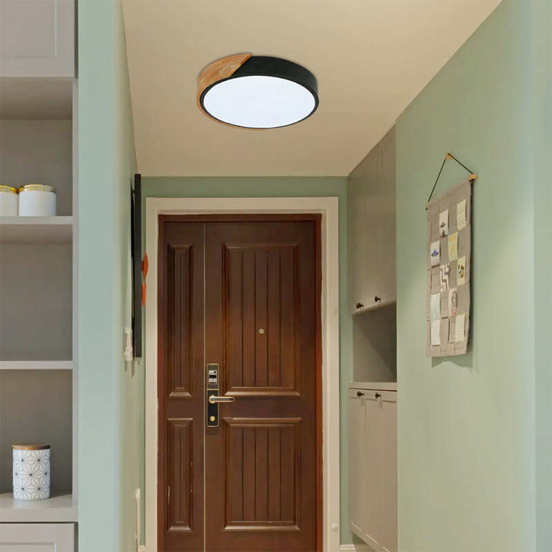 Eulane 1-Light 30cm LED Flush Mount Ceiling Light, Black