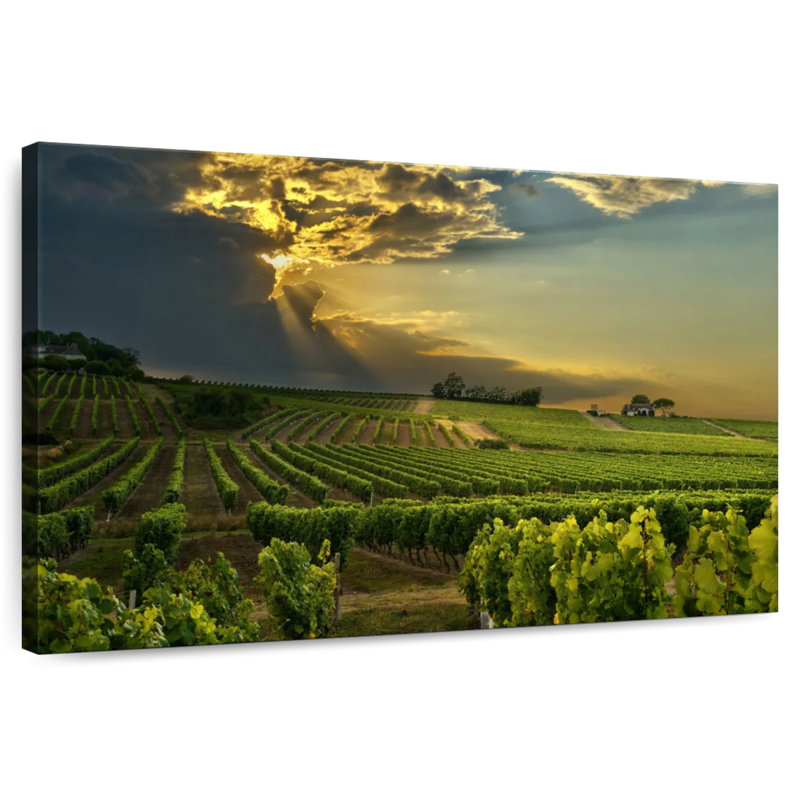 Alvord, vignoble du sud de la France, H 30 po x l 45 po